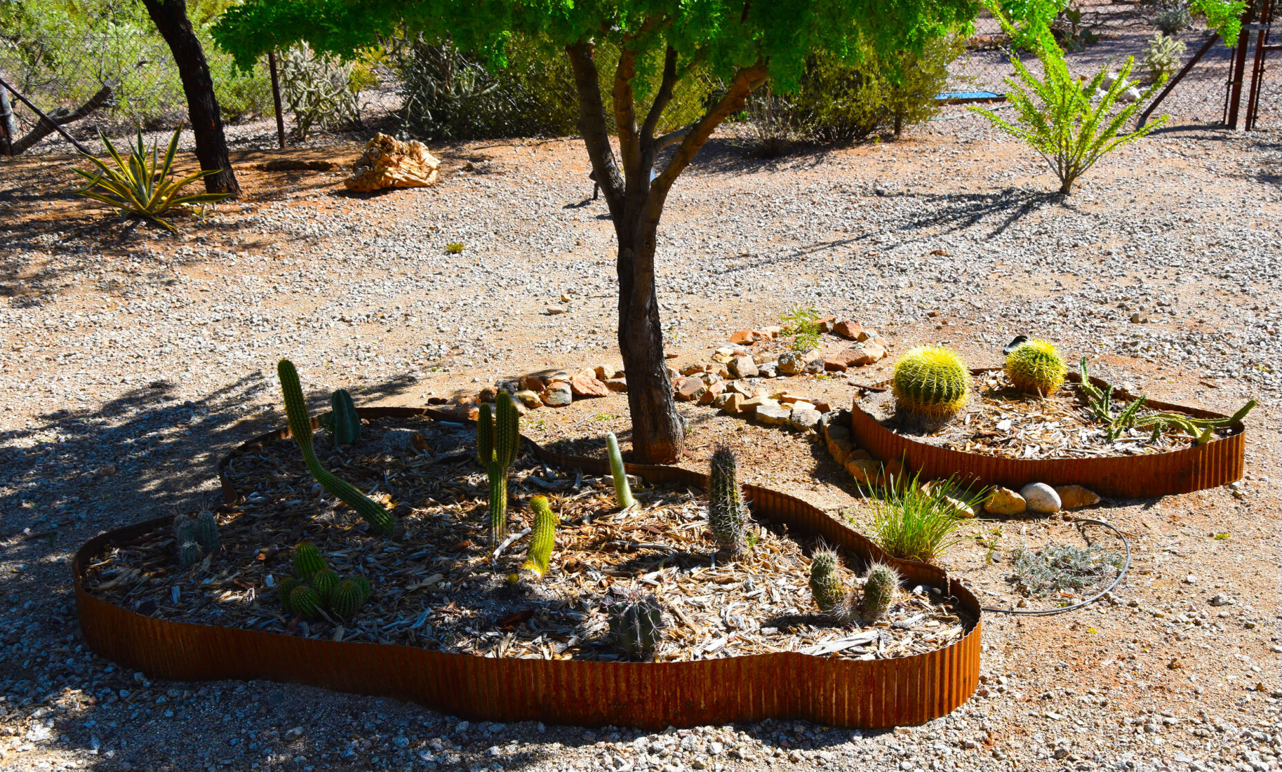 2023 Master Gardener Home Garden Show